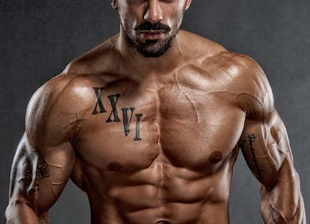 Zone pectoraux